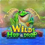 wild hop and drop slot